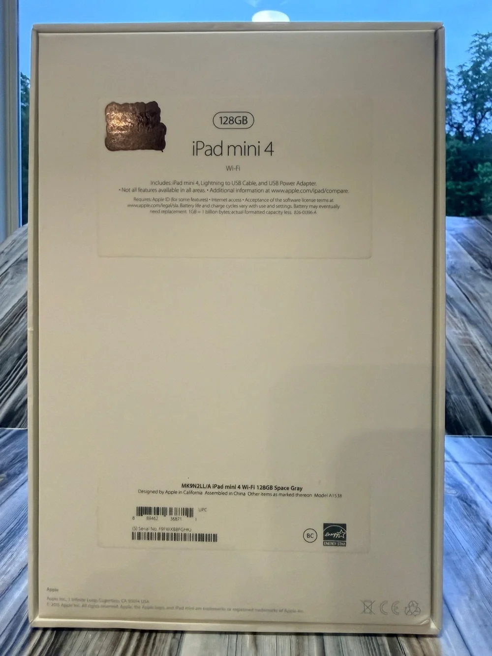 Apple iPad mini 4 in space gray 128gb
